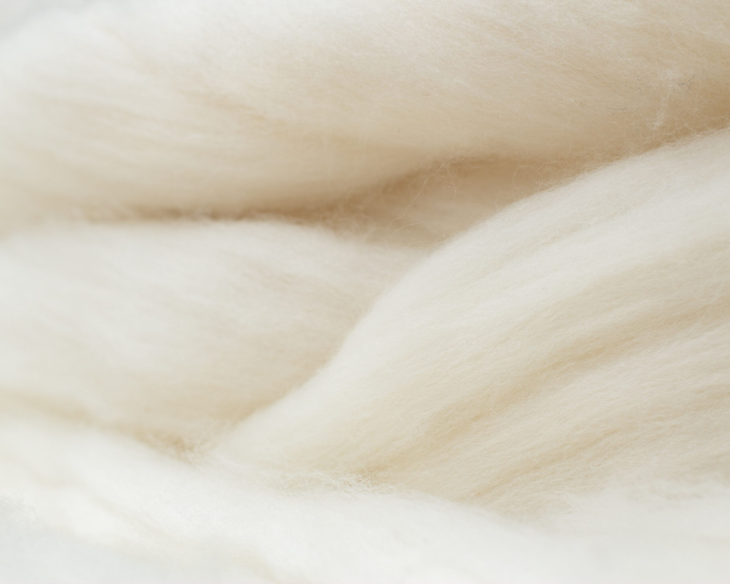 Dandelion - 18 microns - Superwash Merino - 1 lbs - Image 2