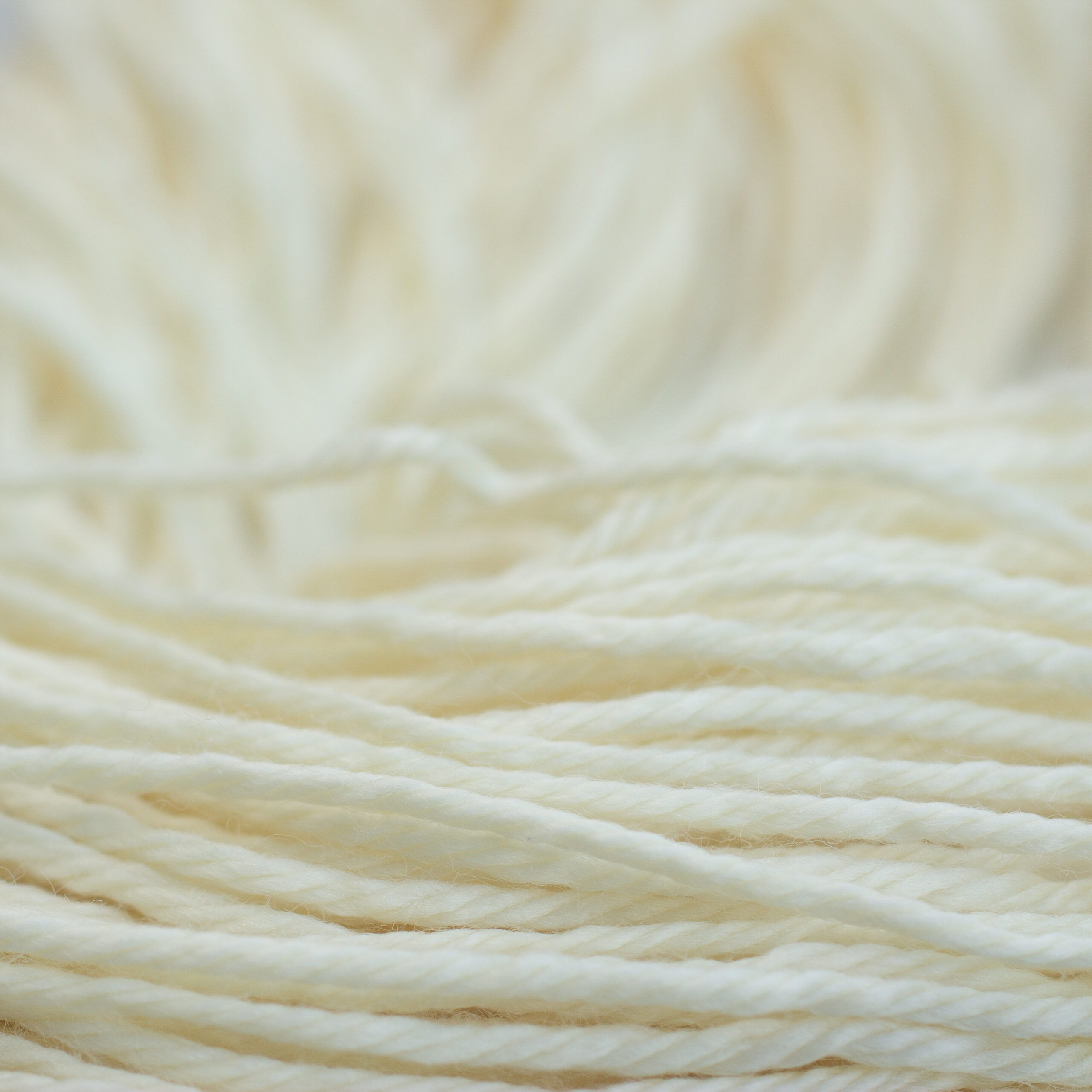 Four Natural GEMS - Worsted - 10 skeins per bag - 100% Superwash Merino - Image 2